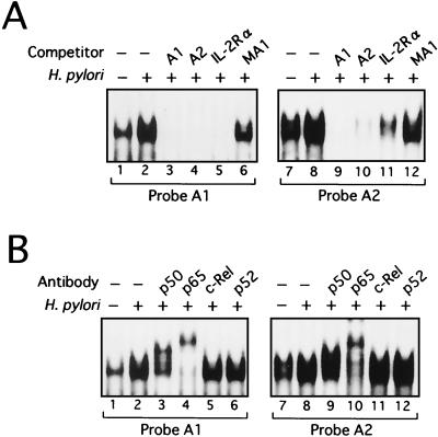 FIG. 6