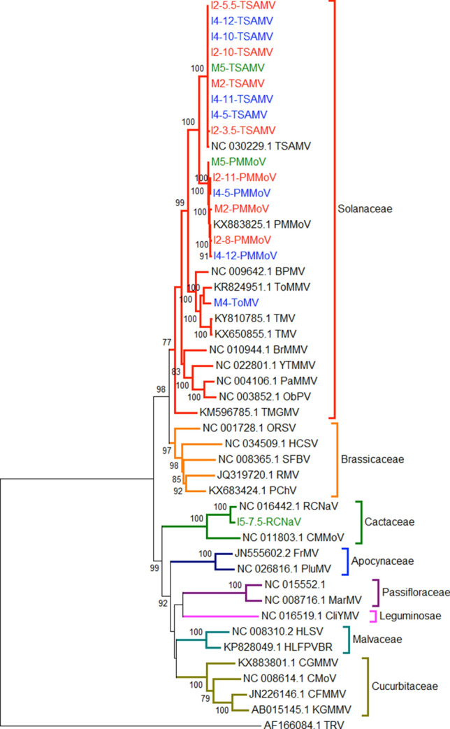 Figure 5