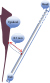 Figure 6