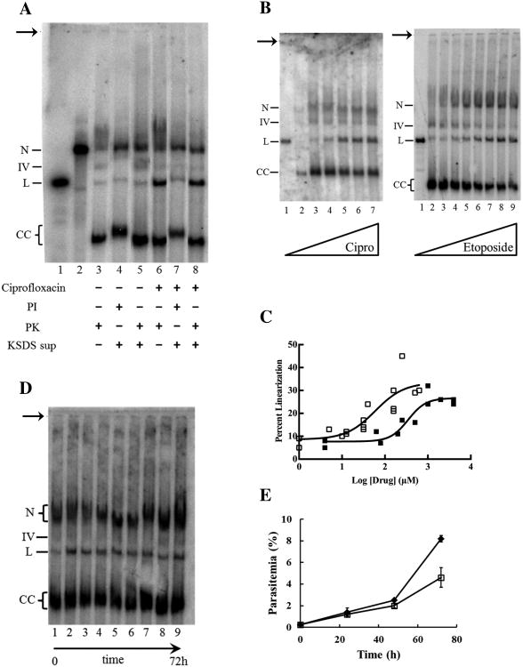 Fig. 5