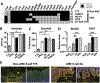 Fig 3.