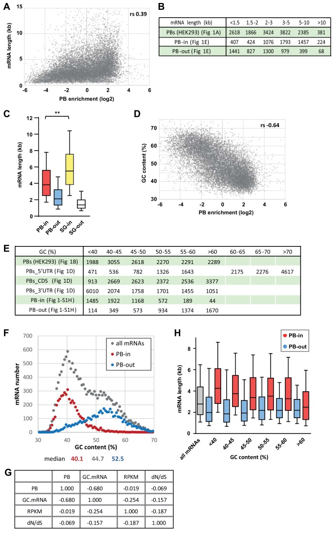 Figure 1—figure supplement 1.