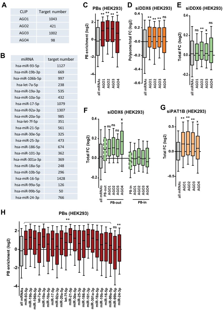 Figure 5—figure supplement 3.