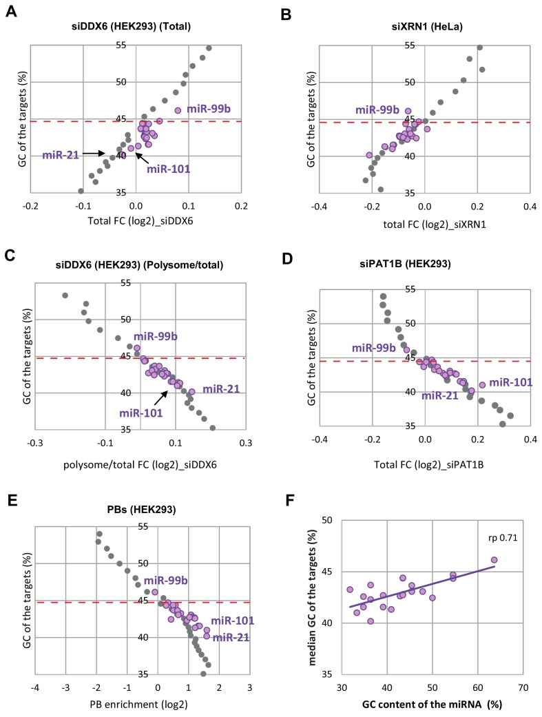 Figure 5—figure supplement 5.