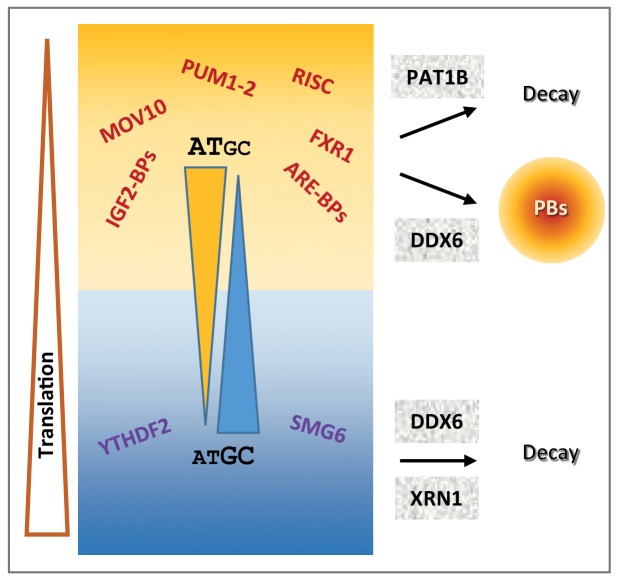 Figure 7.