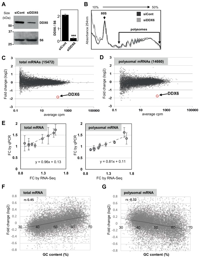 Figure 3—figure supplement 1.