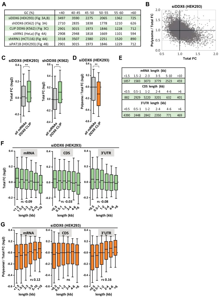 Figure 3—figure supplement 2.