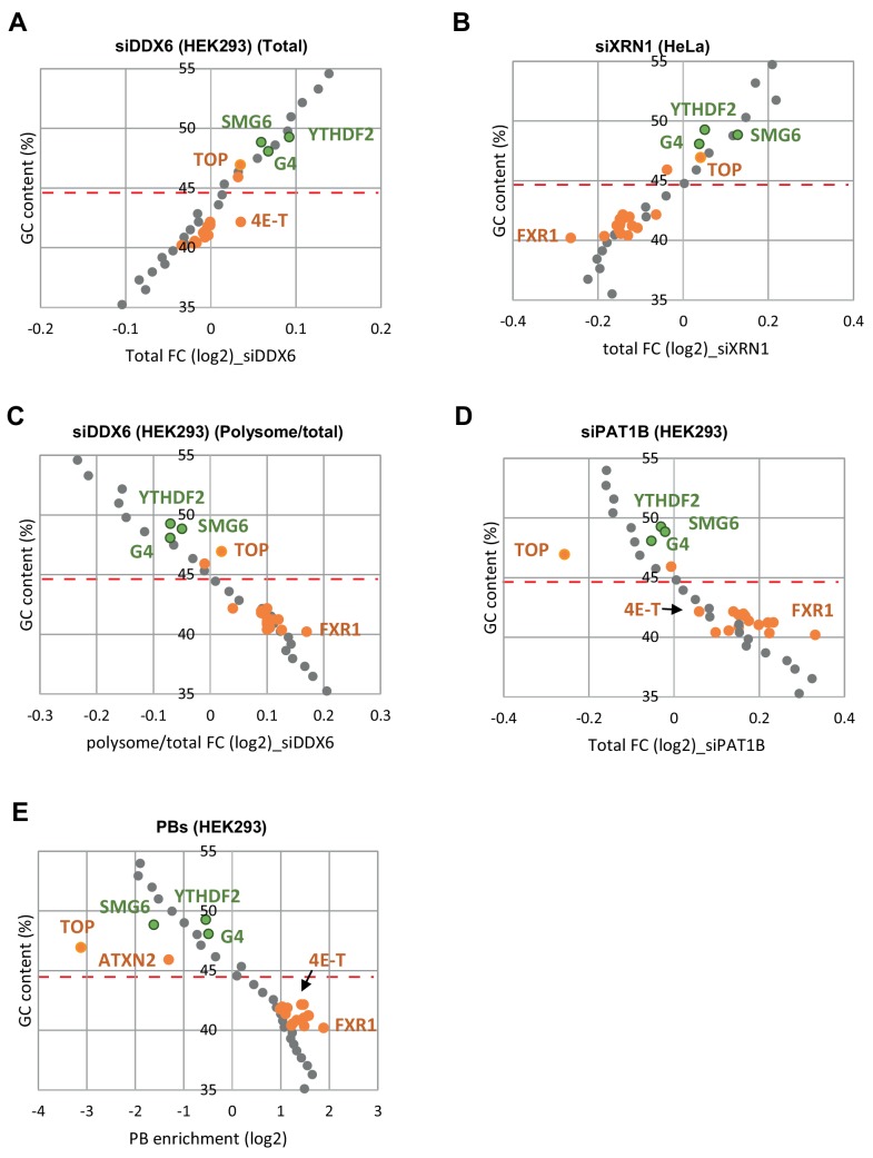 Figure 5—figure supplement 4.