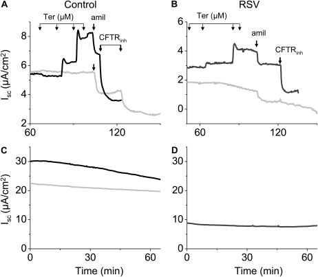 Figure 9.