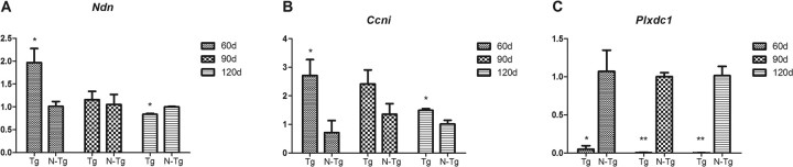 Figure 1.