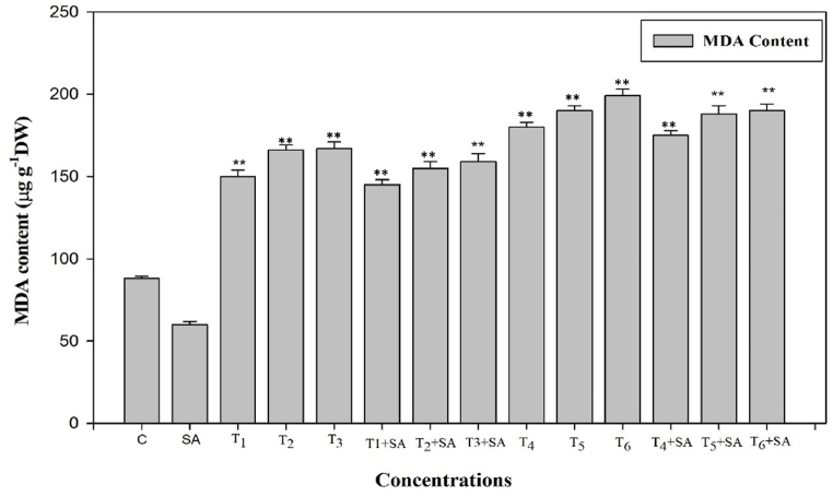 Fig. 11