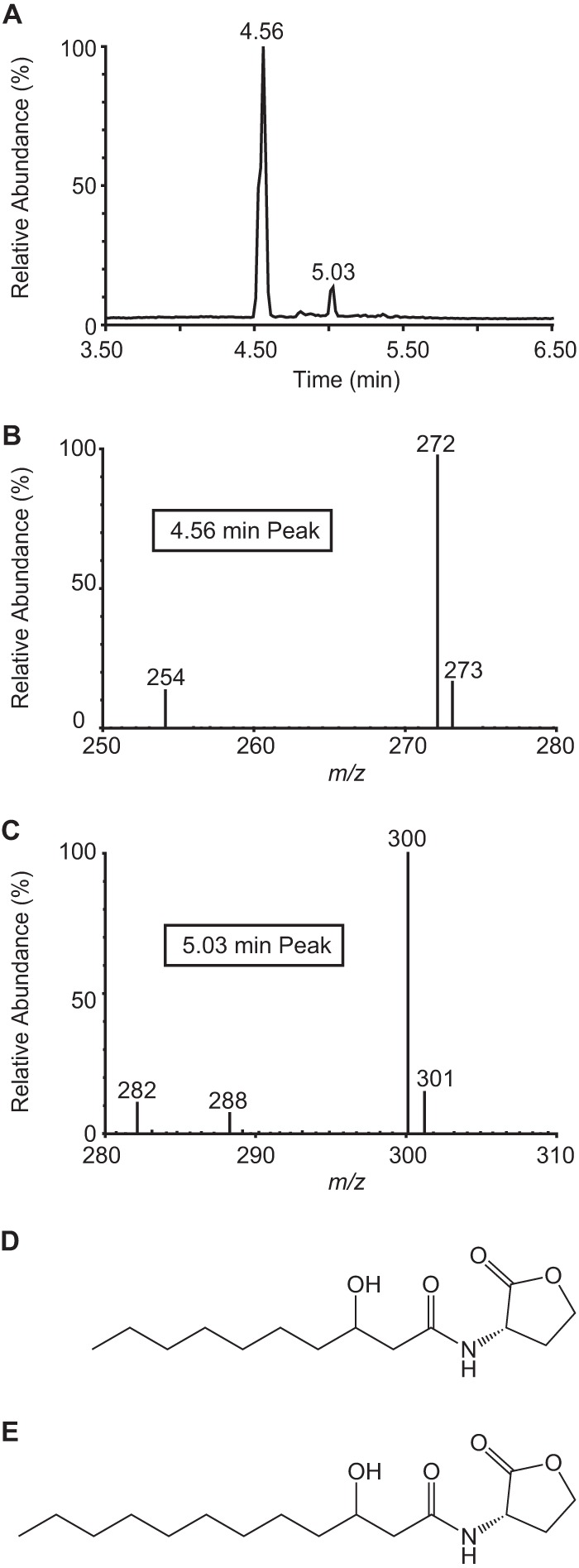 FIG 3