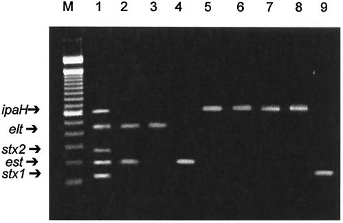 FIG. 2.