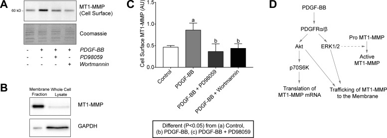 Fig. 11.