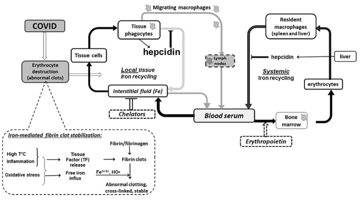 Figure 1.