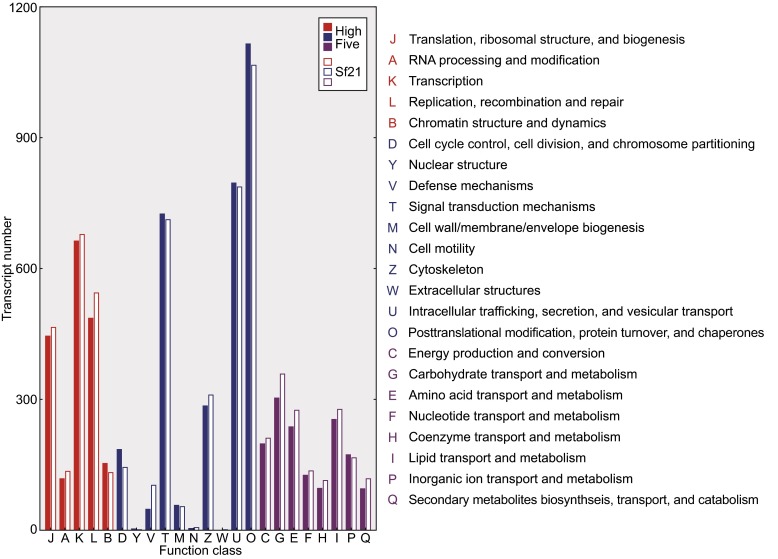 Figure 3