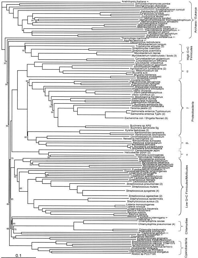 FIG.1.