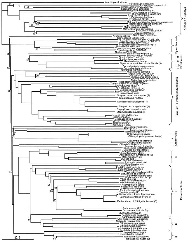 FIG. 5.