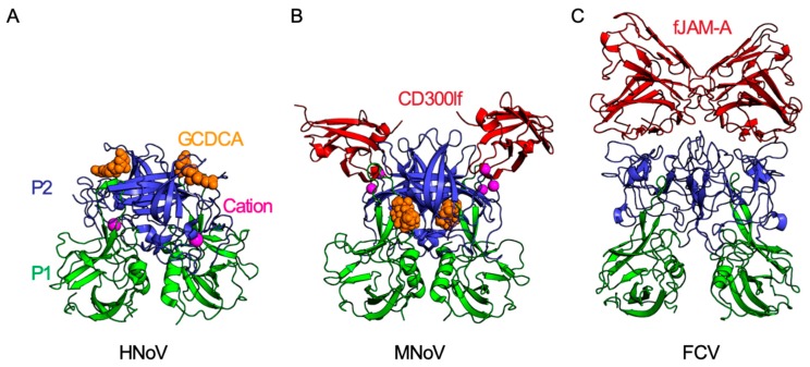 Figure 2