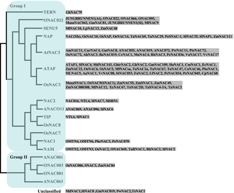 Regulatory Network Established By Transcription Factors Transmits 