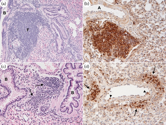 Fig. 7.