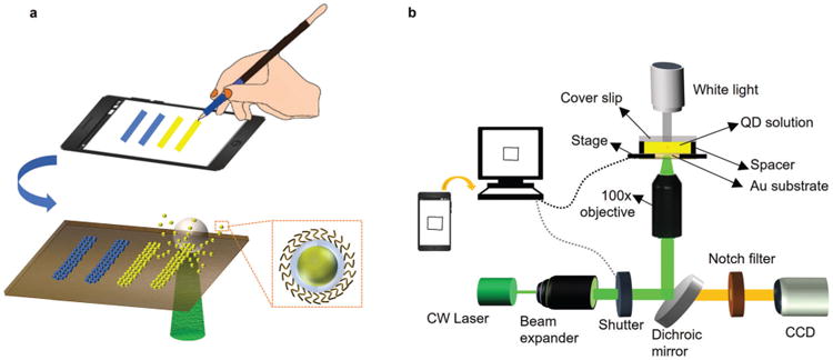 Fig. 1