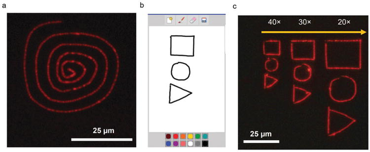 Fig. 2