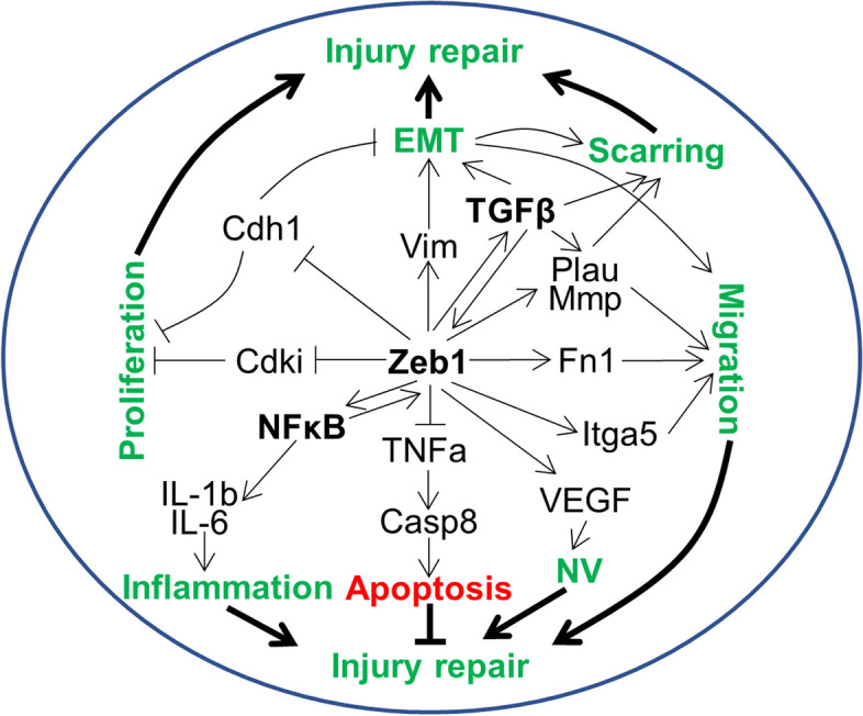 Fig. 3