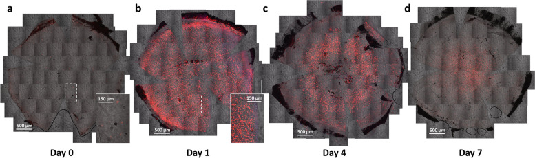 Fig. 2