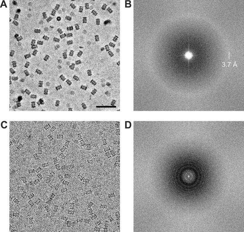 Figure 4.