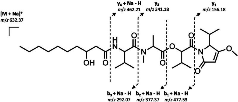 Figure 4