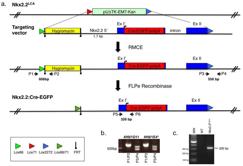 FIG. 1