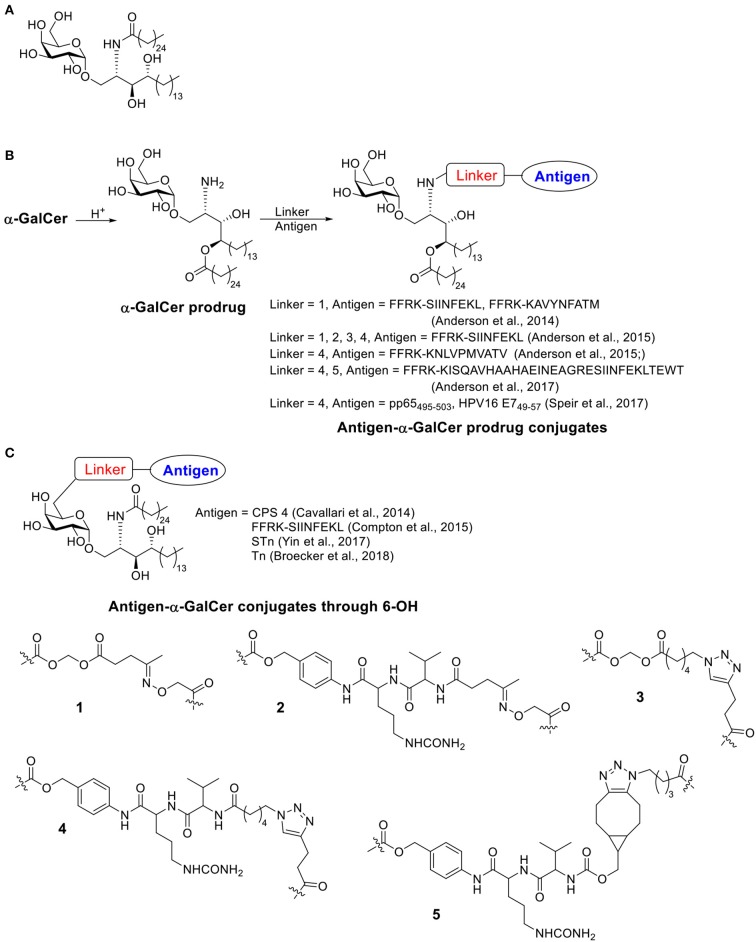 Scheme 4