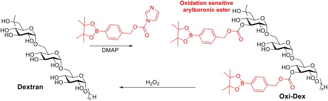 Scheme 7