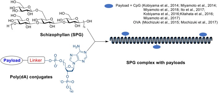 Scheme 8