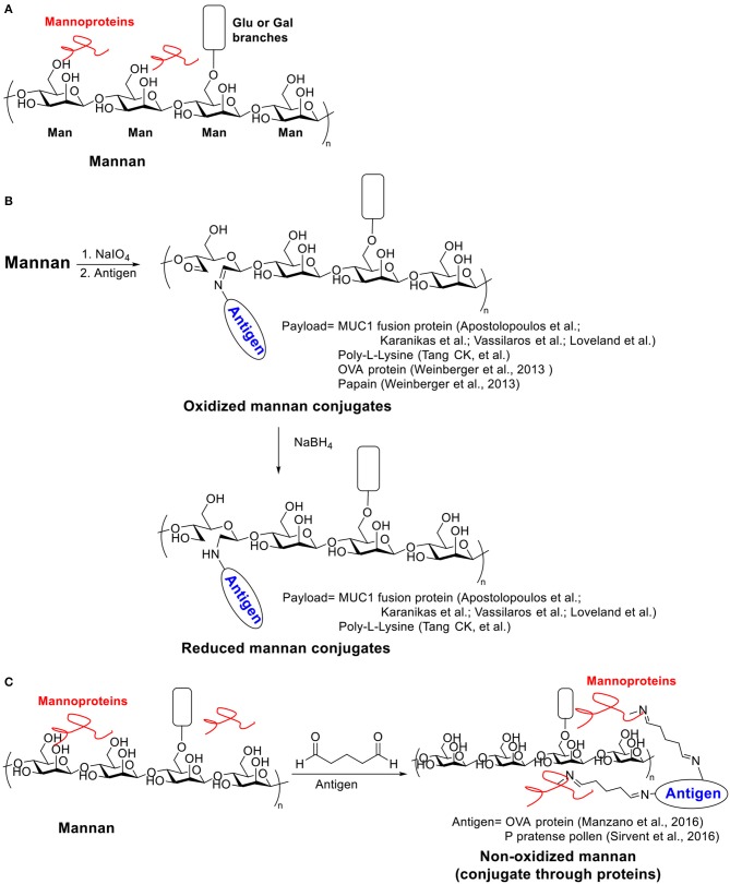 Scheme 3