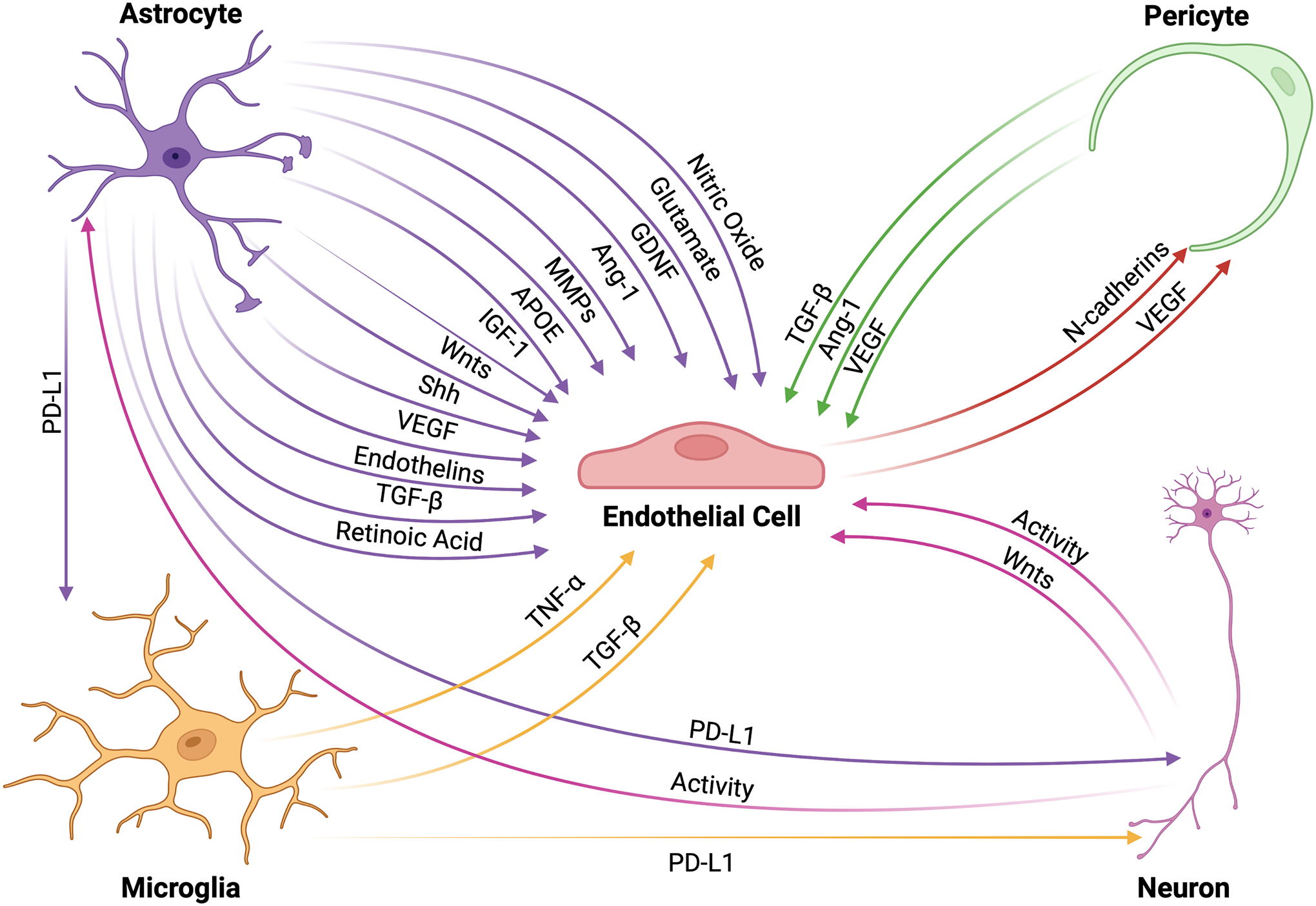 Figure 2: