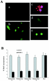 FIG. 7.