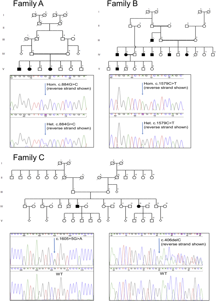 Figure 1