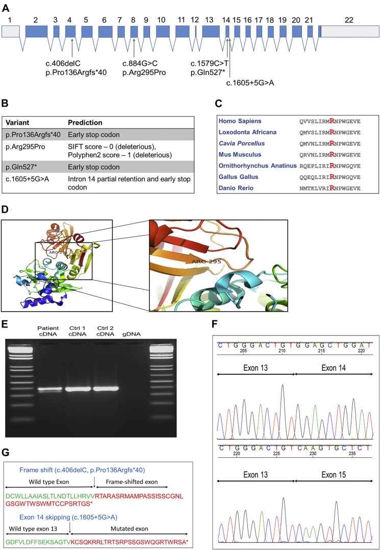 Figure 2