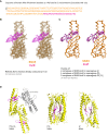 Figure 4—figure supplement 1.