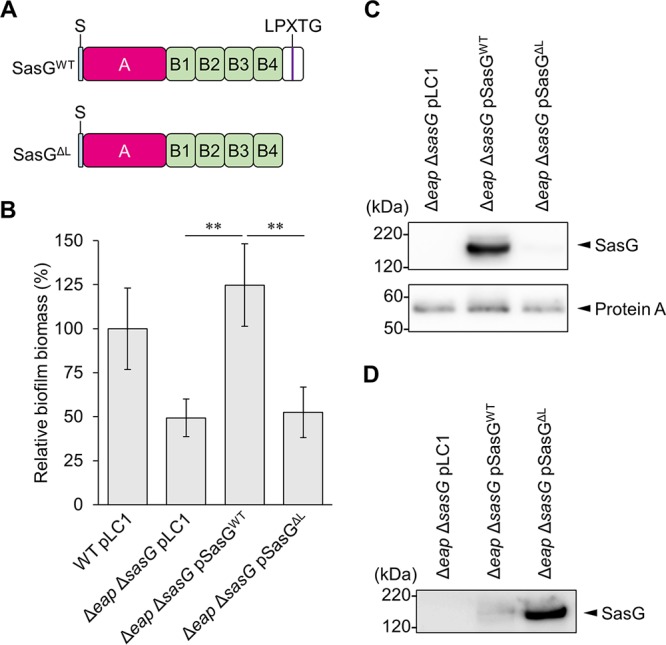 FIG 4