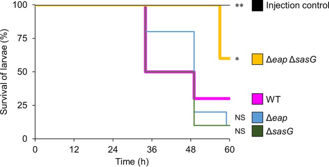 FIG 6