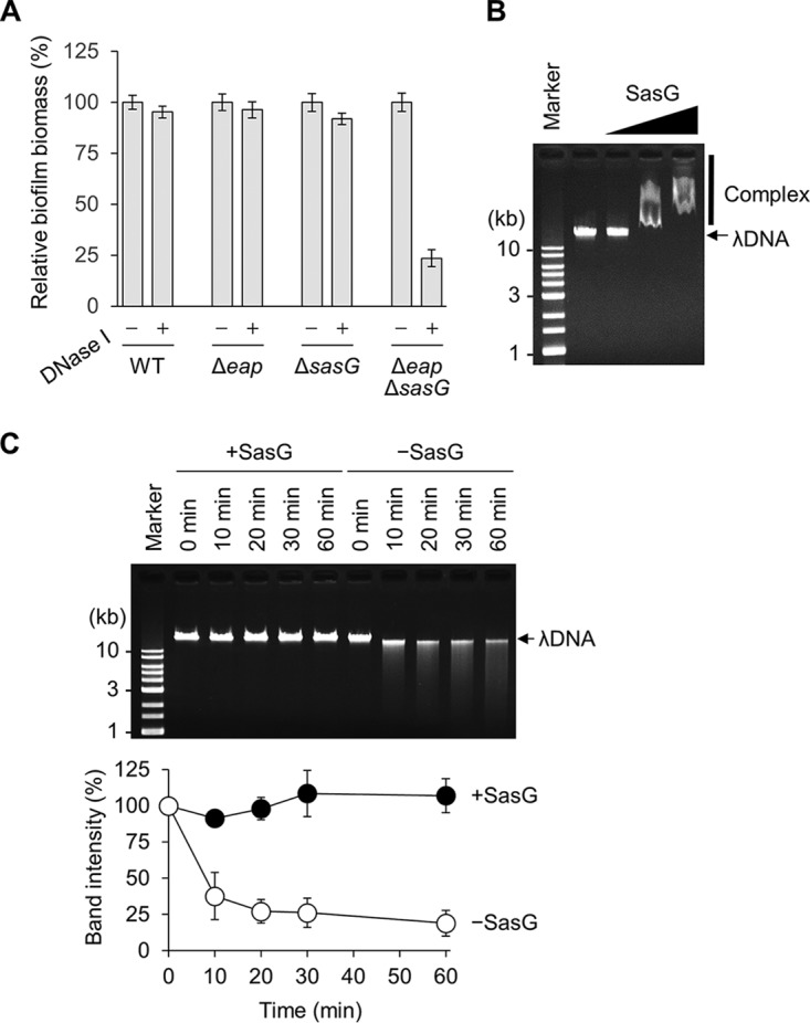 FIG 3