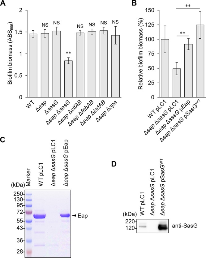 FIG 2