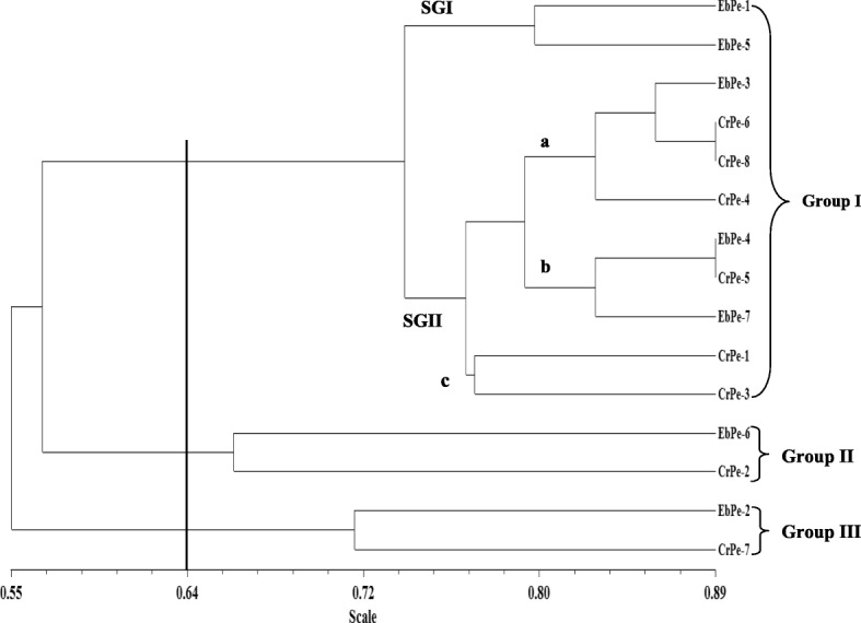 Fig. 6