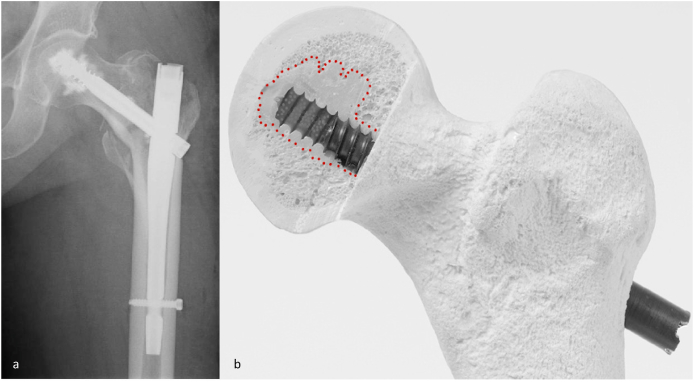 Fig. 2