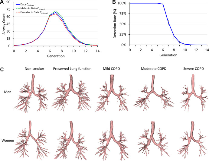 Reference airway segmentation results on standard-dose total-lung-capacity CT data from phase II visits of the Genetic Epidemiology Chronic Obstructive Pulmonary Disease Iowa cohort (Data CII-Stand). (A) Mean airway counts at different airway tree generations. (B) Mean and SD of airway detection rates at different generations. (C) Representative reference airways for different groups segmented at standard radiation. The representative participant for each group was selected as the one with the total airway count closest to the respective group mean. COPD = chronic obstructive pulmonary disease.