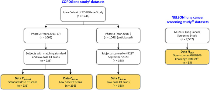 Participant selection flowchart for each data set. ANODE09 = Automatic Nodule Detection 2009, COPDGene = Genetic Epidemiology of Chronic Obstructive Pulmonary Disease, NELSON = Dutch–Belgian Randomized Lung Cancer Screening.