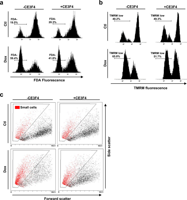 Figure 1—figure supplement 1.